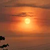 nhu_khanh2020