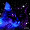 starshine167