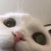 snaxyou_