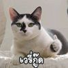 user8171908122206