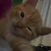 ennguocnhosoxnhr