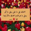 ka80..l