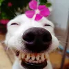 duongdomicdeptraithe
