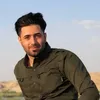amin.alsaadi