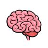 frontal_lobe_medical