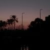 paradiseofrroro423
