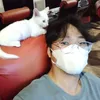 thaibao71c2