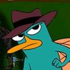 platypus___2