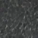 shan45870