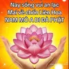 binhxuan12902