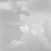 kitune.16
