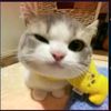 airin_zhaa