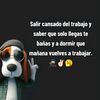 elfurioso.85