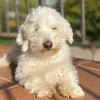 karol_1604