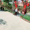 phamductrinh96