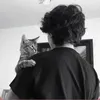 .hn93