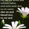 mohammadalbardan1