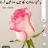 aslam.khan8069