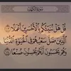 hanan5652