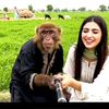 naeemfarooqm