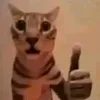 good_or_bad_1000