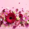 raham_alsnunis