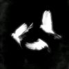 c_ntania