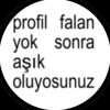 hilaldolunay56