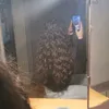 j3f1m1j4