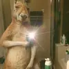 enriqueguti_