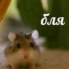 murmiui