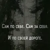vladimirlukovi
