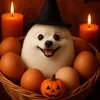 eeeeeeeeeeeegg_06