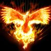 fenix404