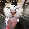 attack_the_d_point1234