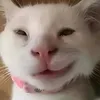 thttruong2_0_0_4