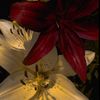 leen11_76