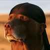 25smvzope