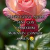 qemzeli__tenha