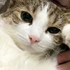 kit_7980