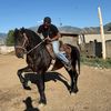 cristopher2330