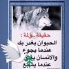abdabdedjalil