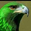 mohammedalhawarialhawar0