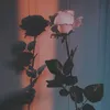 noproblem_5