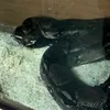 awesomebro365