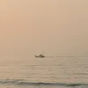 minzanh3004