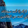shahra.zad92