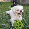 Life of Cooper