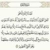 omarahmdy1