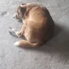 fernandomarcos.vi